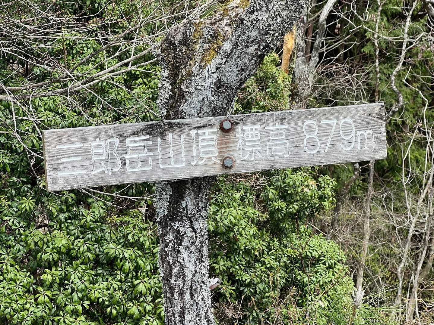 危うくプレートも撮り忘れそうでした( ˊᵕˋ ;)
三郎岳879m
て事は、比叡山くらいあるんですねー。
