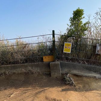 大平山山頂🏔️