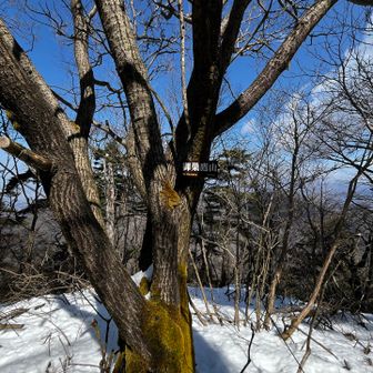 御巣鷹山
到着👍