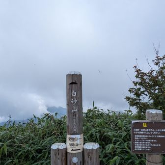 山頂ですが、真っ白