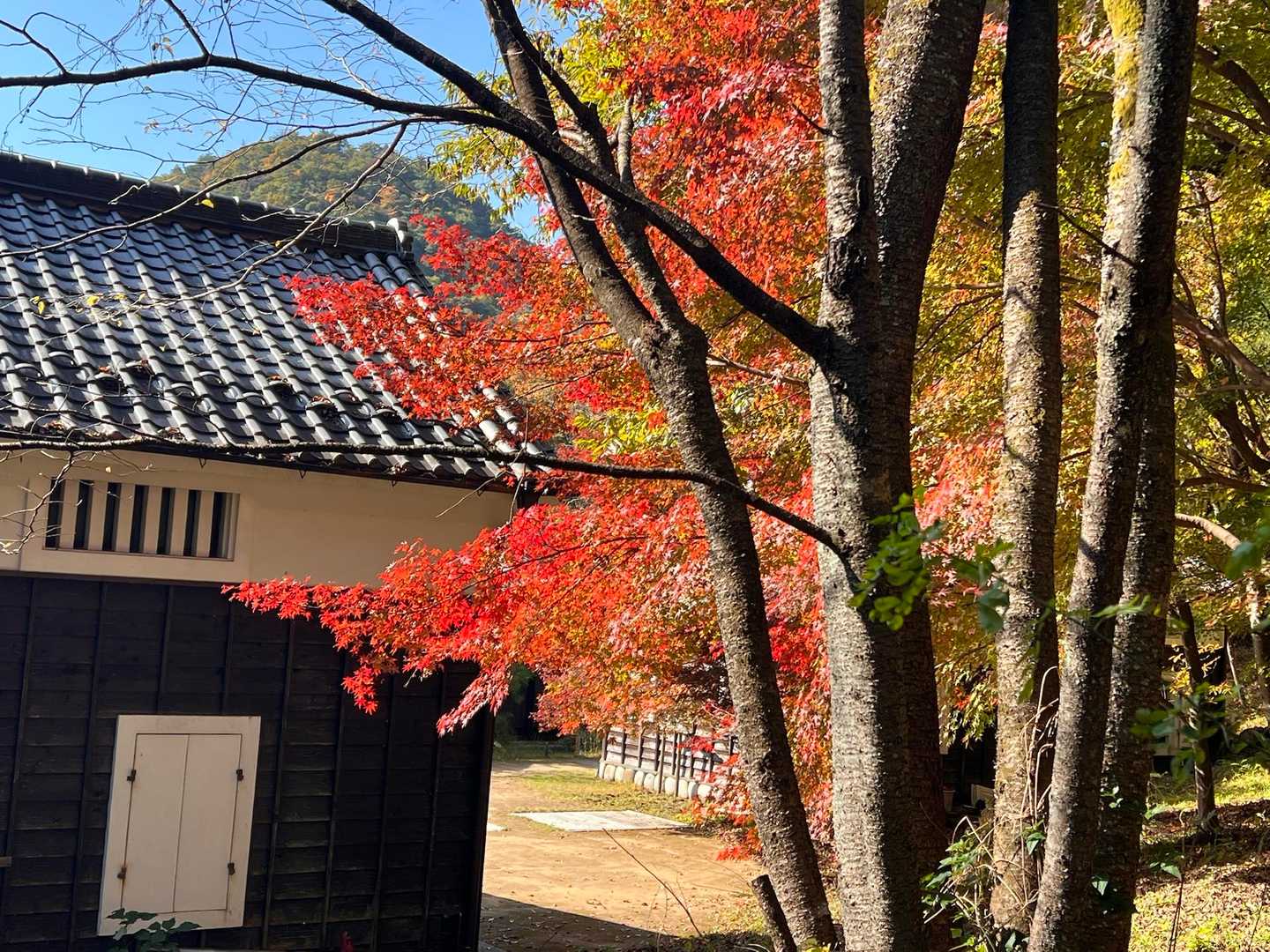 紅葉綺麗で
大満足🙌
おつかれ山⛰️🥾