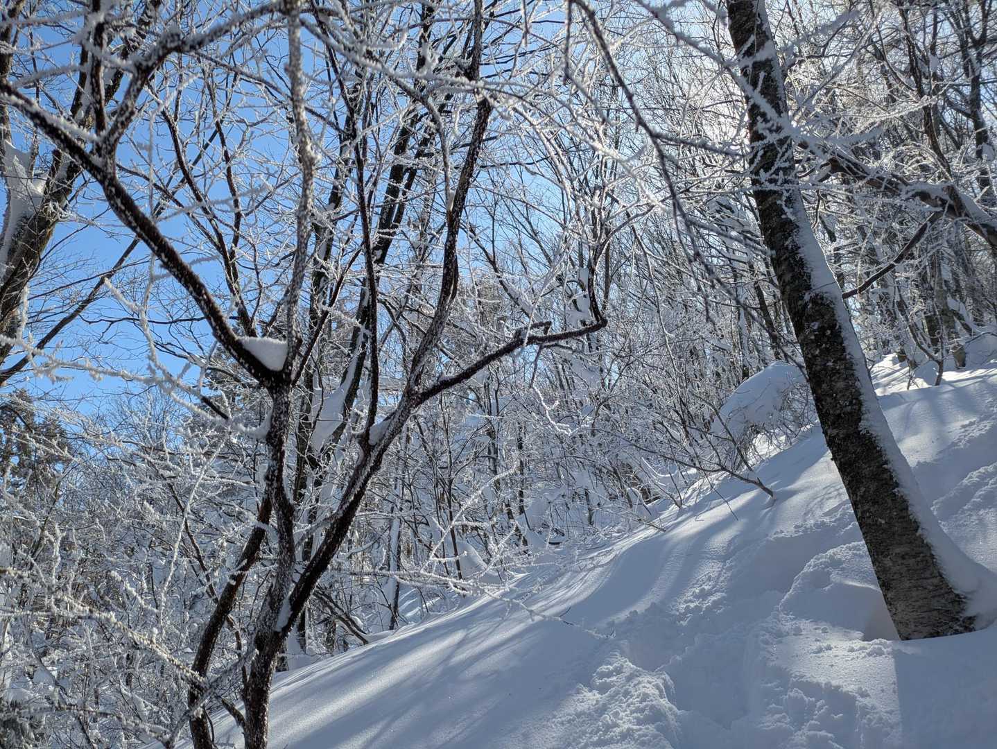 青空の雪山の美しさに見惚れて足が止まります🥹✨