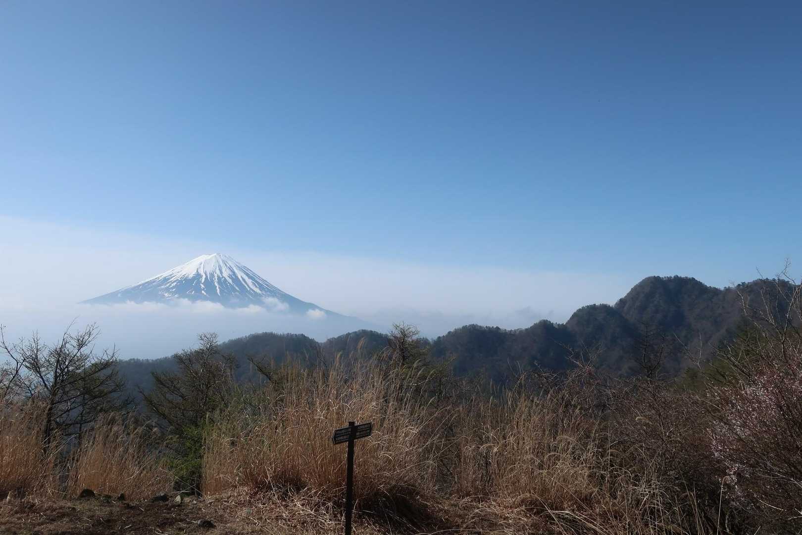 絶景
十二ヶ岳の稜線がみごと