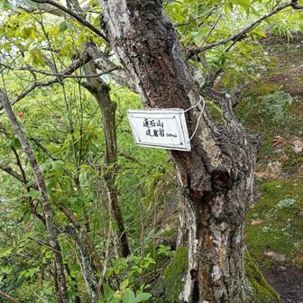 連石山山頂
