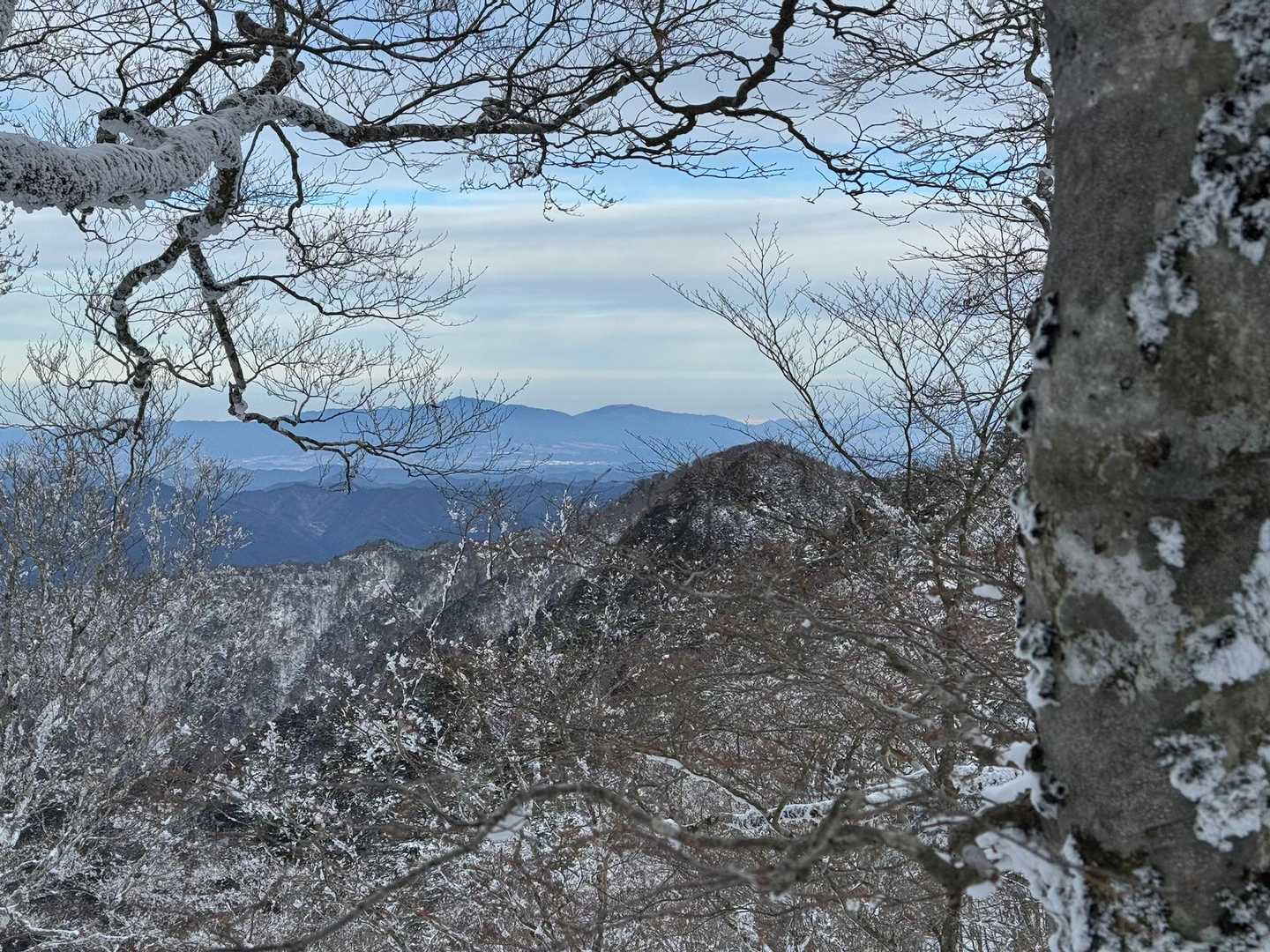朝は雲が多く、金剛山葛城山の方面だけ青空が覗いていました☁️
