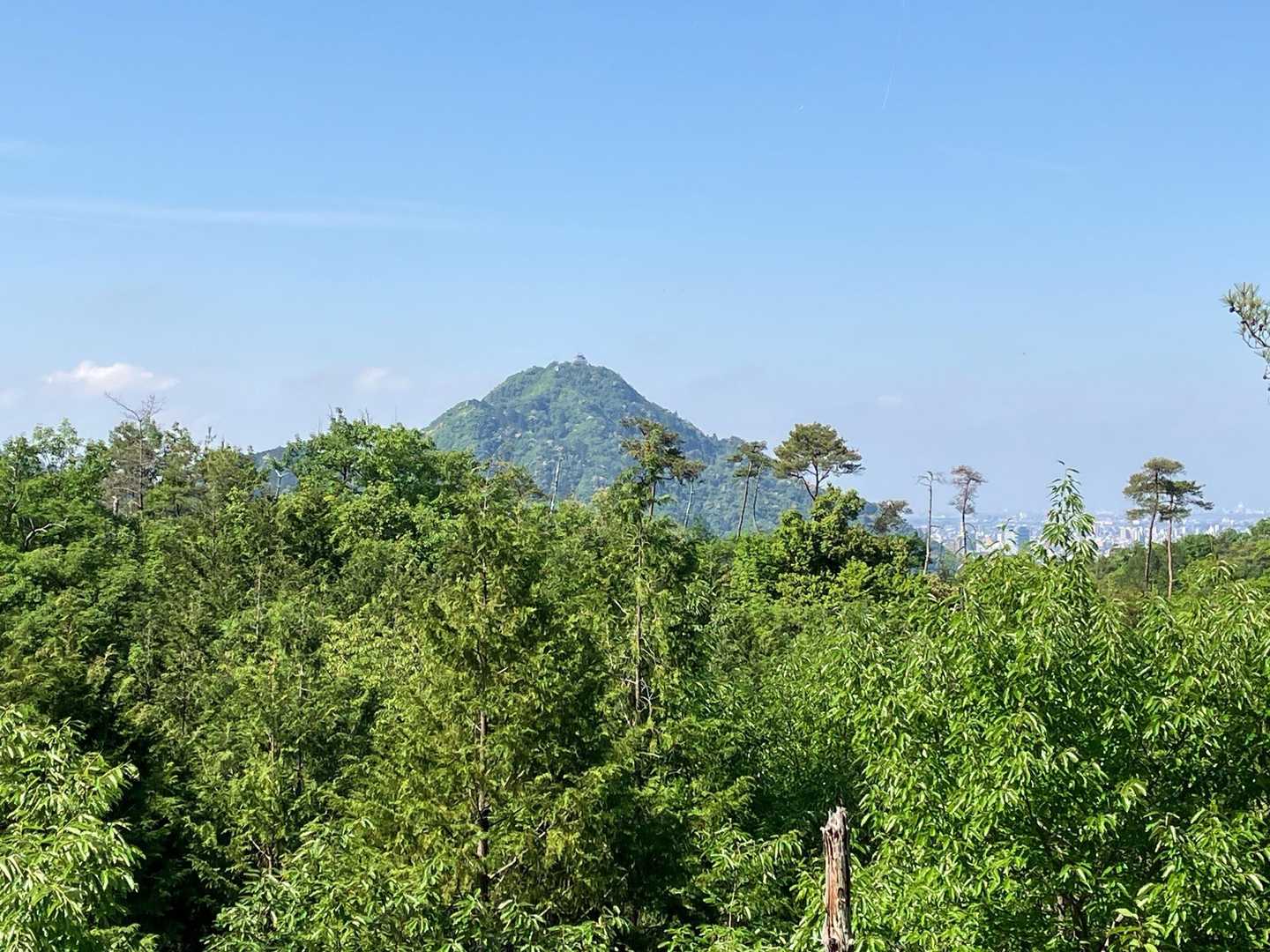 金華山
