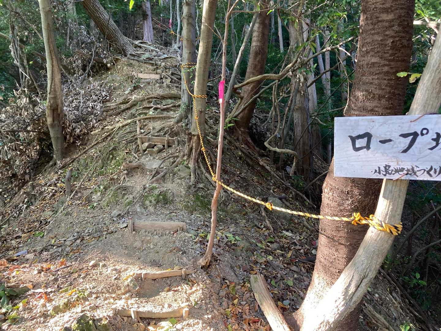 今日は整備された所をゆっくりみながら登りました🥾