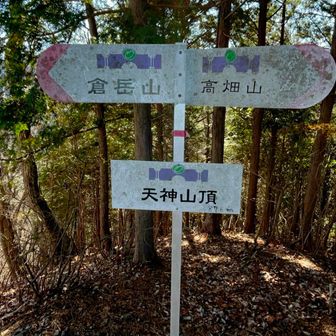 矢神山頂は視界はない