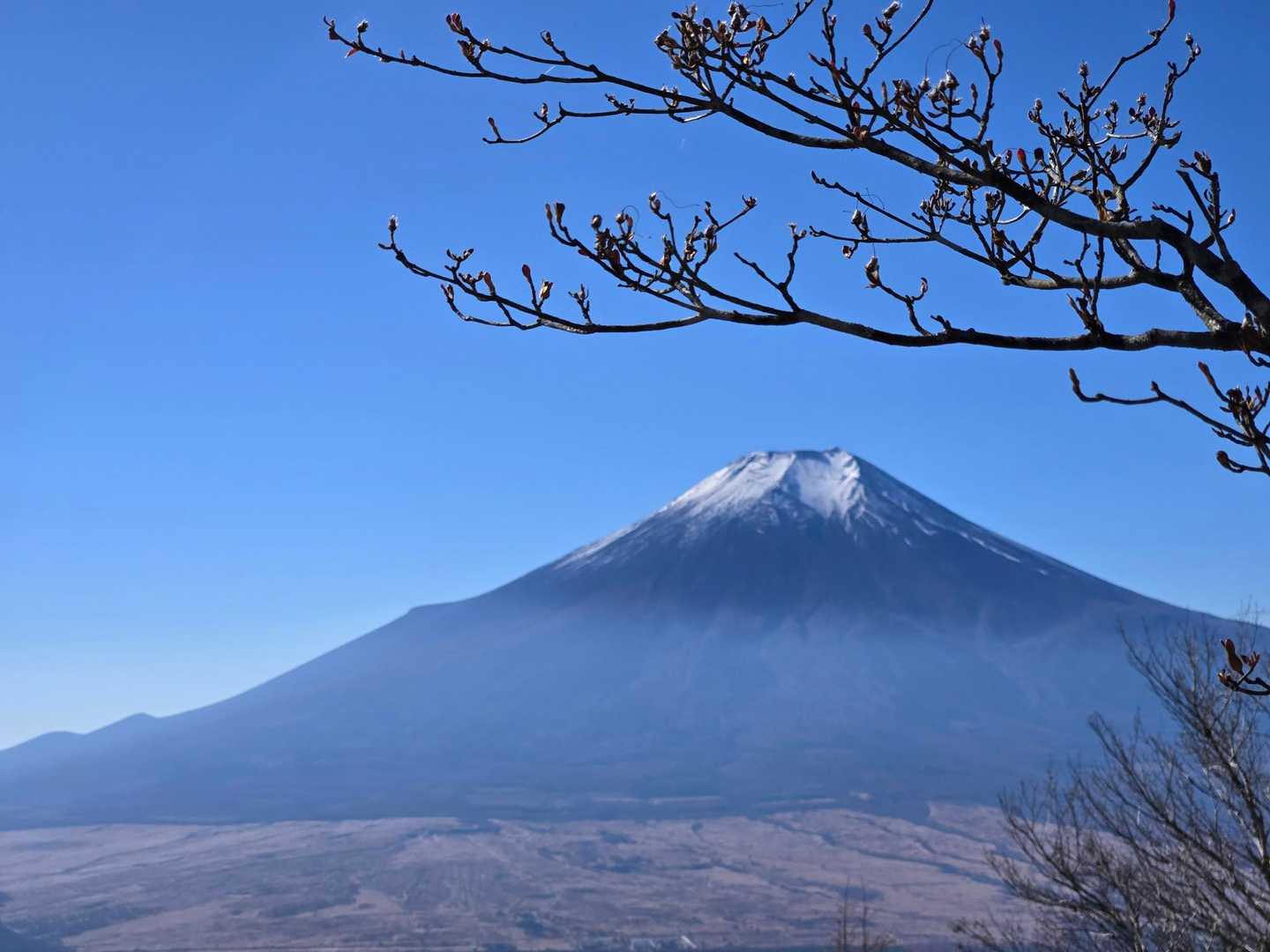 ザ・日本の風景🗻