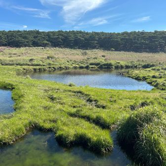 此処は生き物の楽園か？
🤗天然の池塘が広がる✨