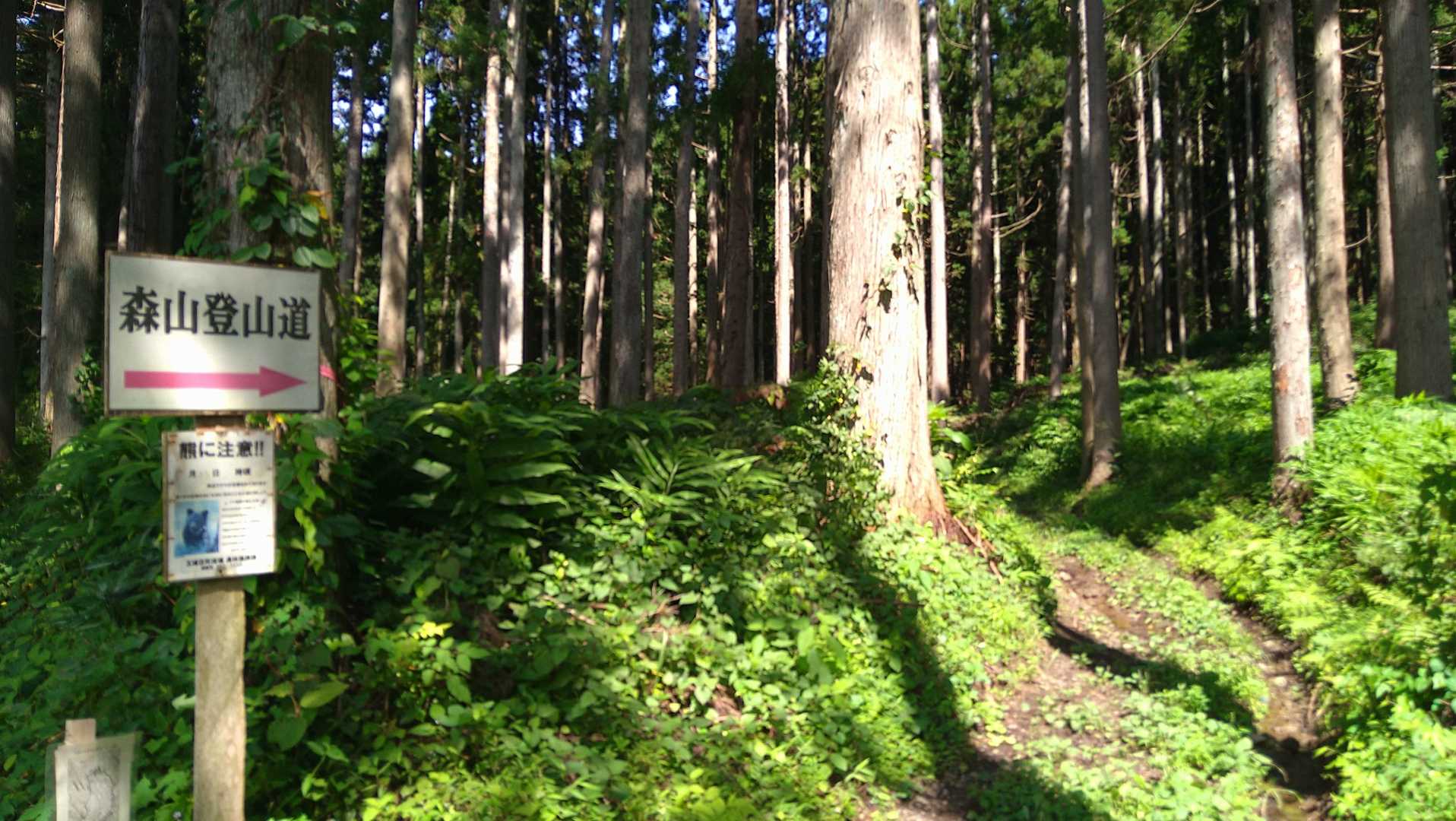気持ちを切り替えて…
まずは森山へ🎵
岡本登山口から😆