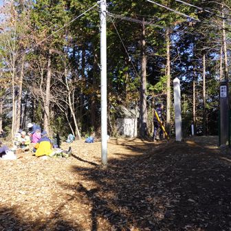 鉢岡山
賑わっていました🎶