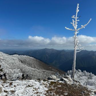 待った甲斐がありました‼️

素晴らしっ‼️