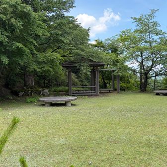 Forest adventureの横で少し休憩…
もう下山した感が満載なんですけどまだ先に続きます😁