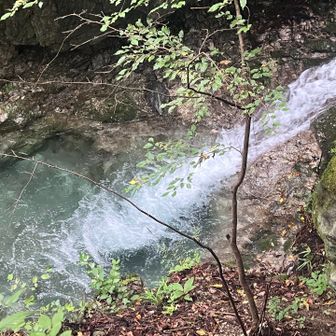 水量多めで音が凄い🎶
お水も澄んでいてとっても綺麗でした🤩
渓谷巡りも今後はしてみたーい🥹🙏🏻

濡れた樹林帯を歩くと、とっても心が安らぎます
真夏のゲリラ豪雨は除外❌