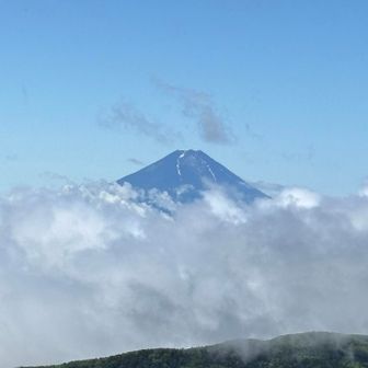 おお！富士山見えた〜✨