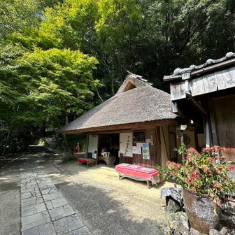 とがの木茶屋🍵