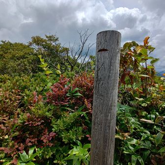 イカイワの頭に到着