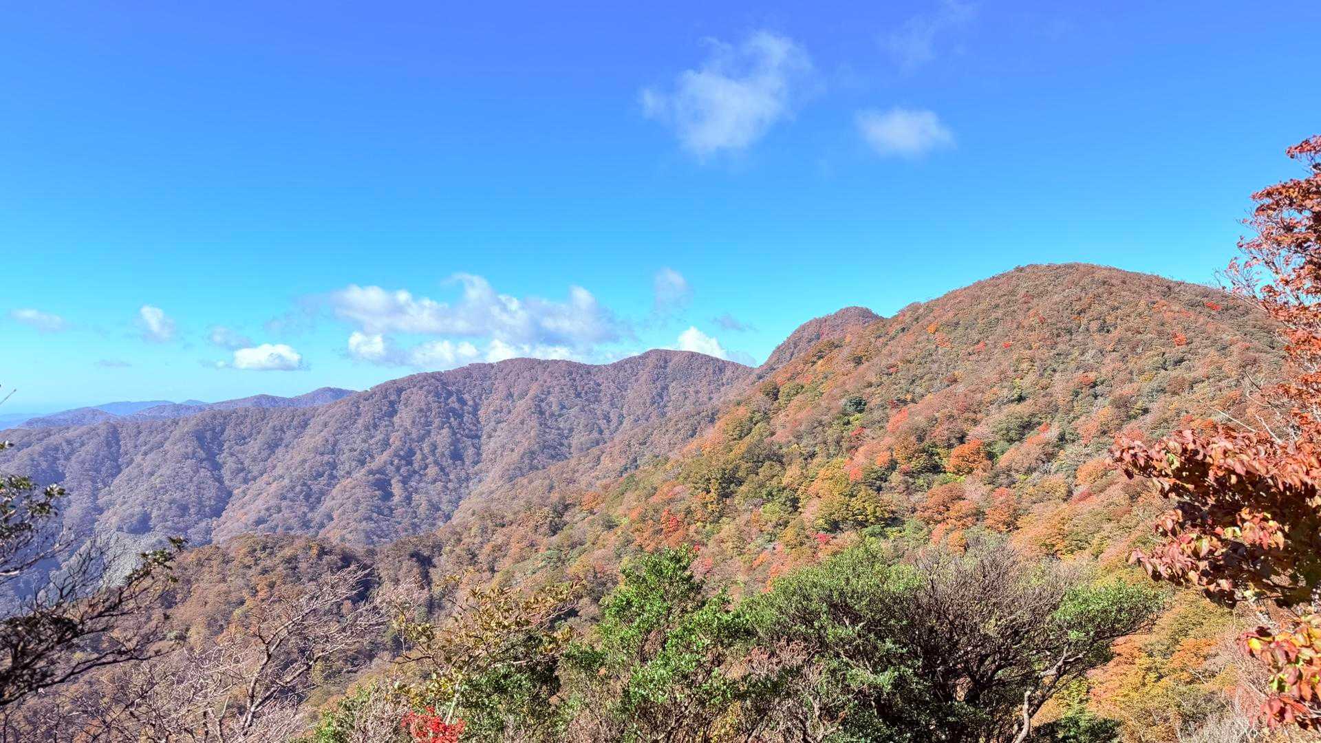 天城縦走登山口-万二郎岳-石楠立-万三郎岳 往復コースの写真