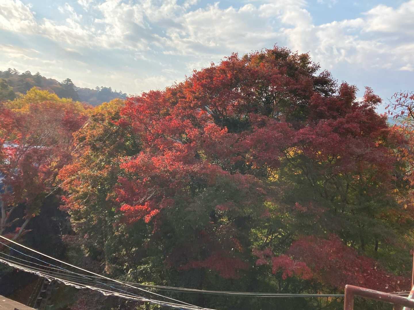 小仏バス停-景信山登山口-ヤゴ沢作業路登山口-小仏峠-城山 縦走コースの写真