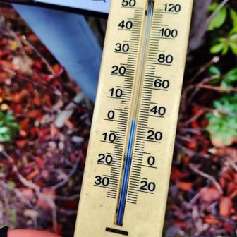 寒いはずですよね💦(^_^;)