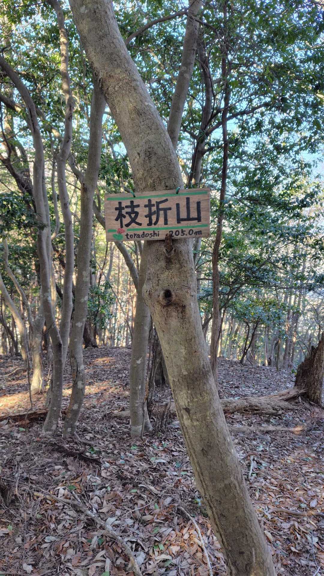 枝折山登頂
