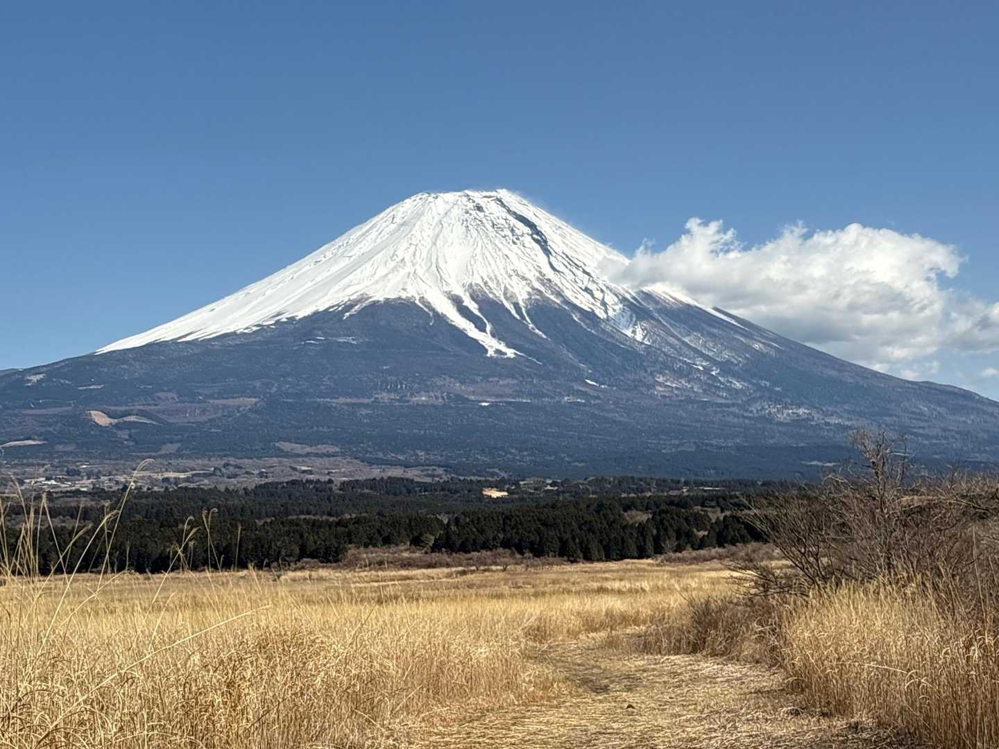 いつでも🗻見えます👀