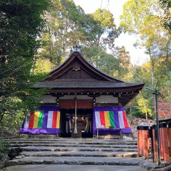 大田神社まで下ってきました⛩️
こちらは、拝殿です🙏

上賀茂神社の境外摂社で
天鈿女命 ( アメノウズメノミコト ) 
が祀られています。