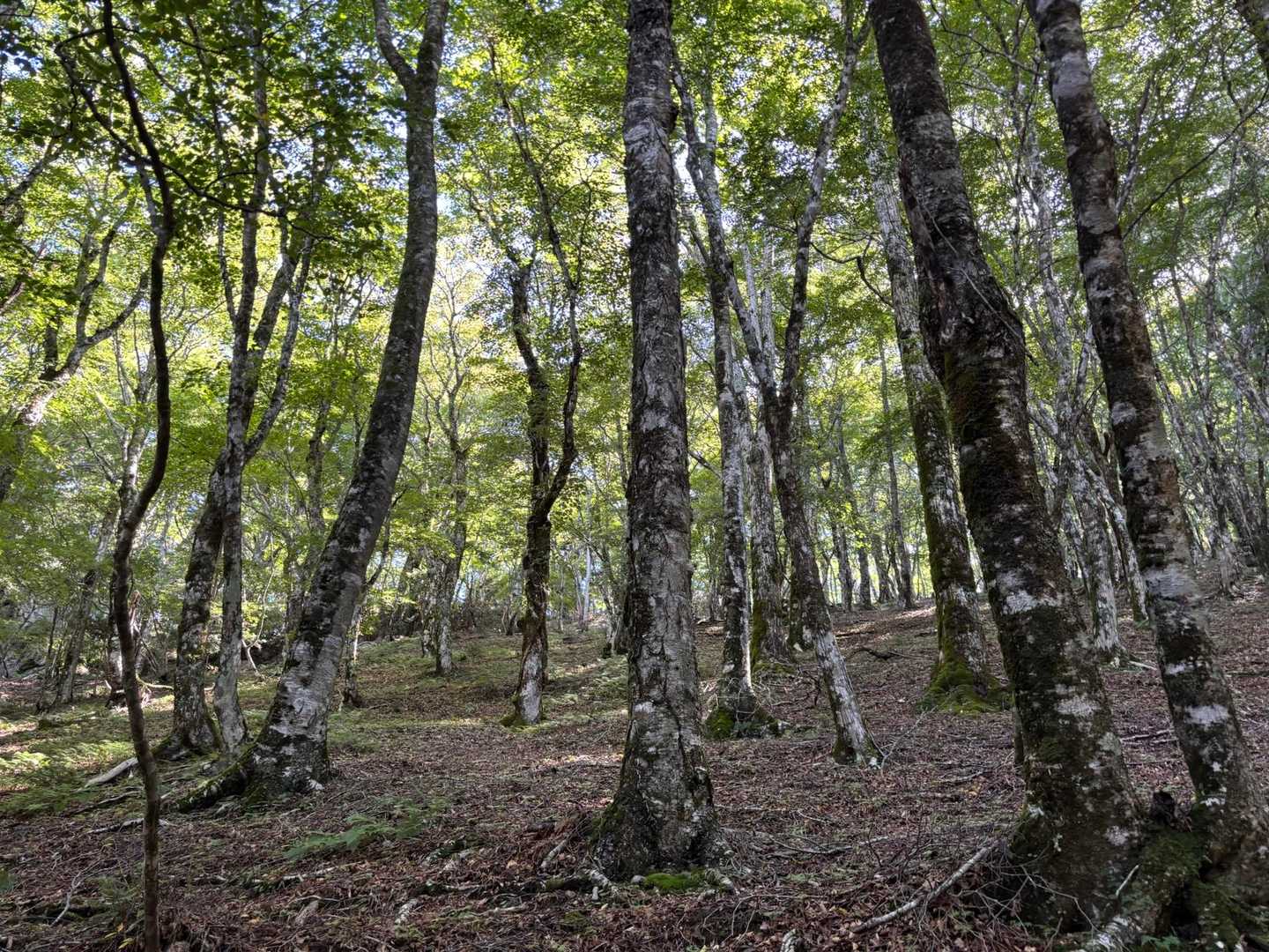 ホント綺麗‼️‼️。