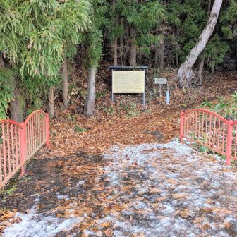 ではでは🎶まいります😄
今日も山の住人たち🐻🐗🦌🐰に「おじゃましまーす(叫)！！」