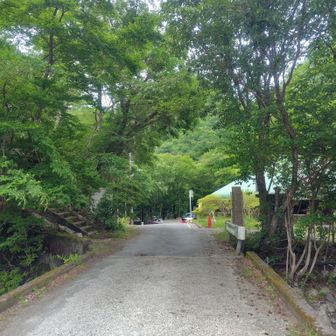 西丹沢ビジターセンター前のベンチで、避難小屋泊で早々下山したというお兄さんと山話してたら更に遅くなり慌てて出発。
