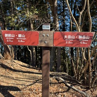 だいぶ来たね〜😆