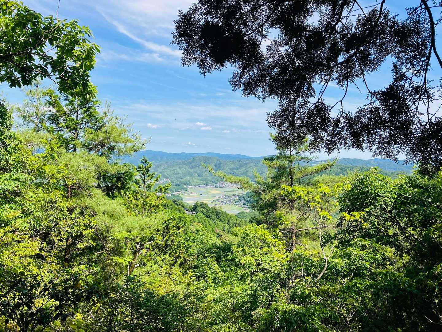 赤熊コース登山口-牛つなぎ広場-半国山-金輪寺 縦走コースの写真
