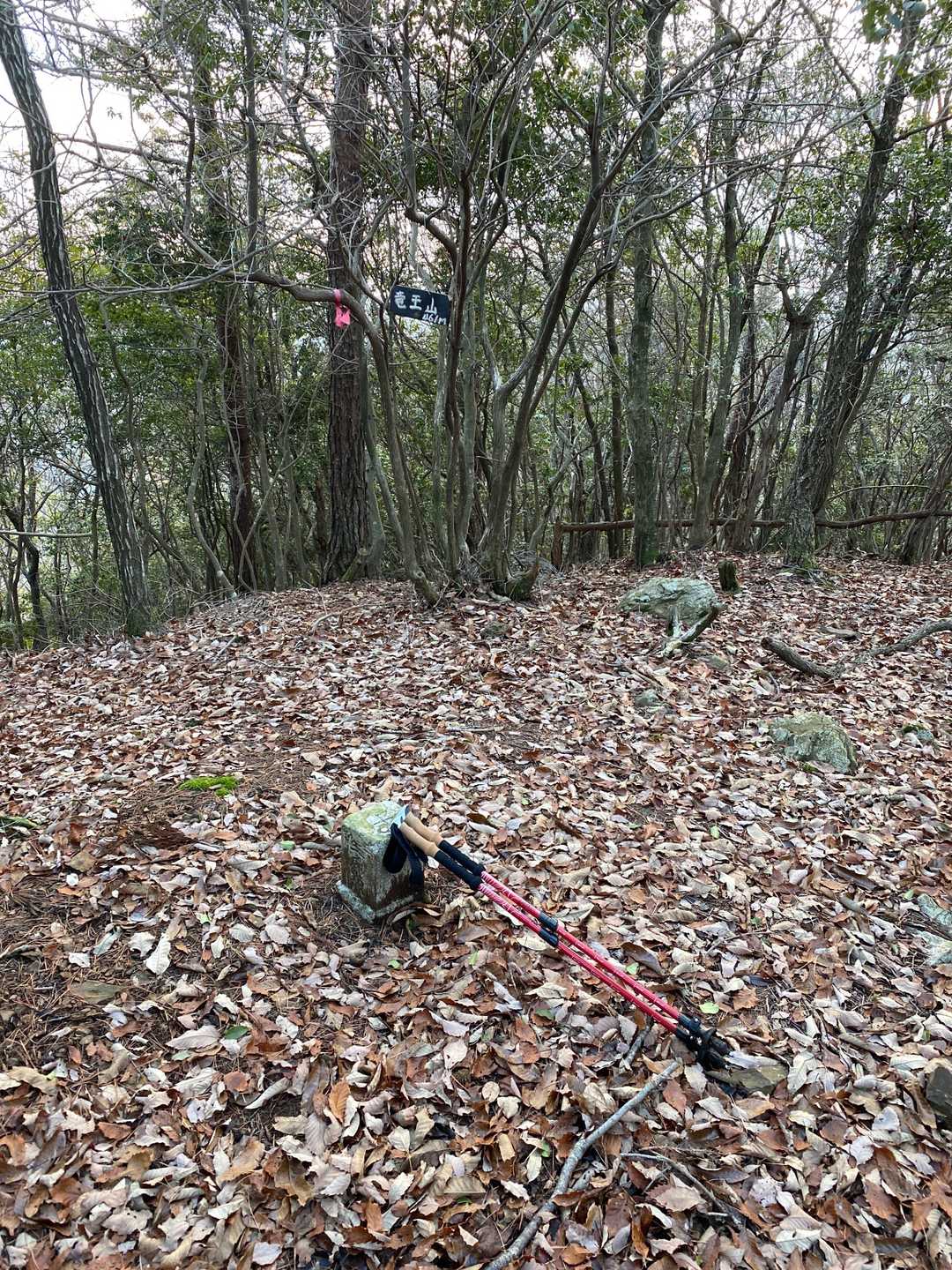 竜王山に到着
日本で一番多い山の名前だそうですね
龍は水の神様なのですよね
