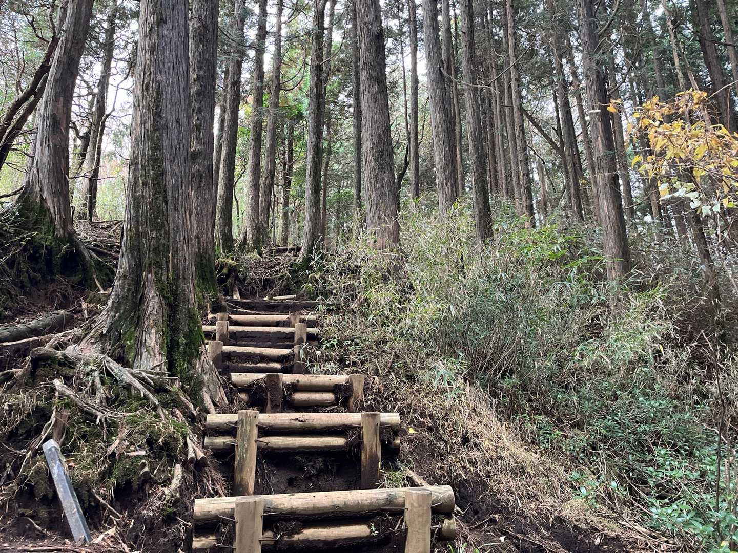 箱根外輪山（ガイリーン）周回コースの写真