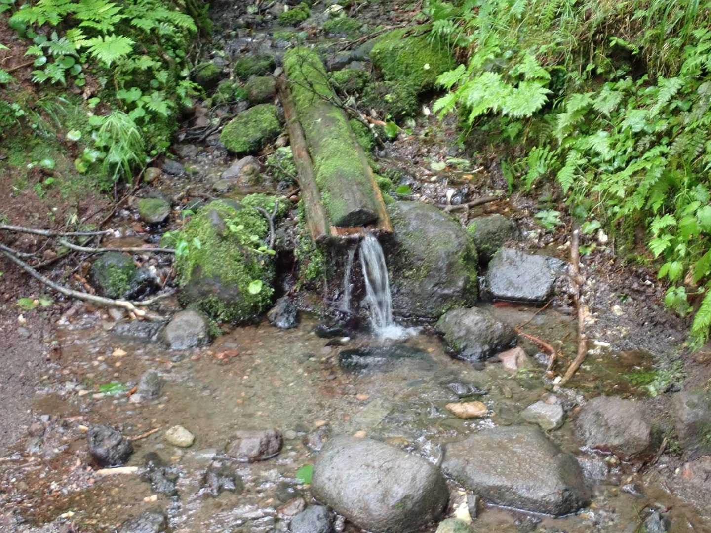 弥三水はジャブジャブ