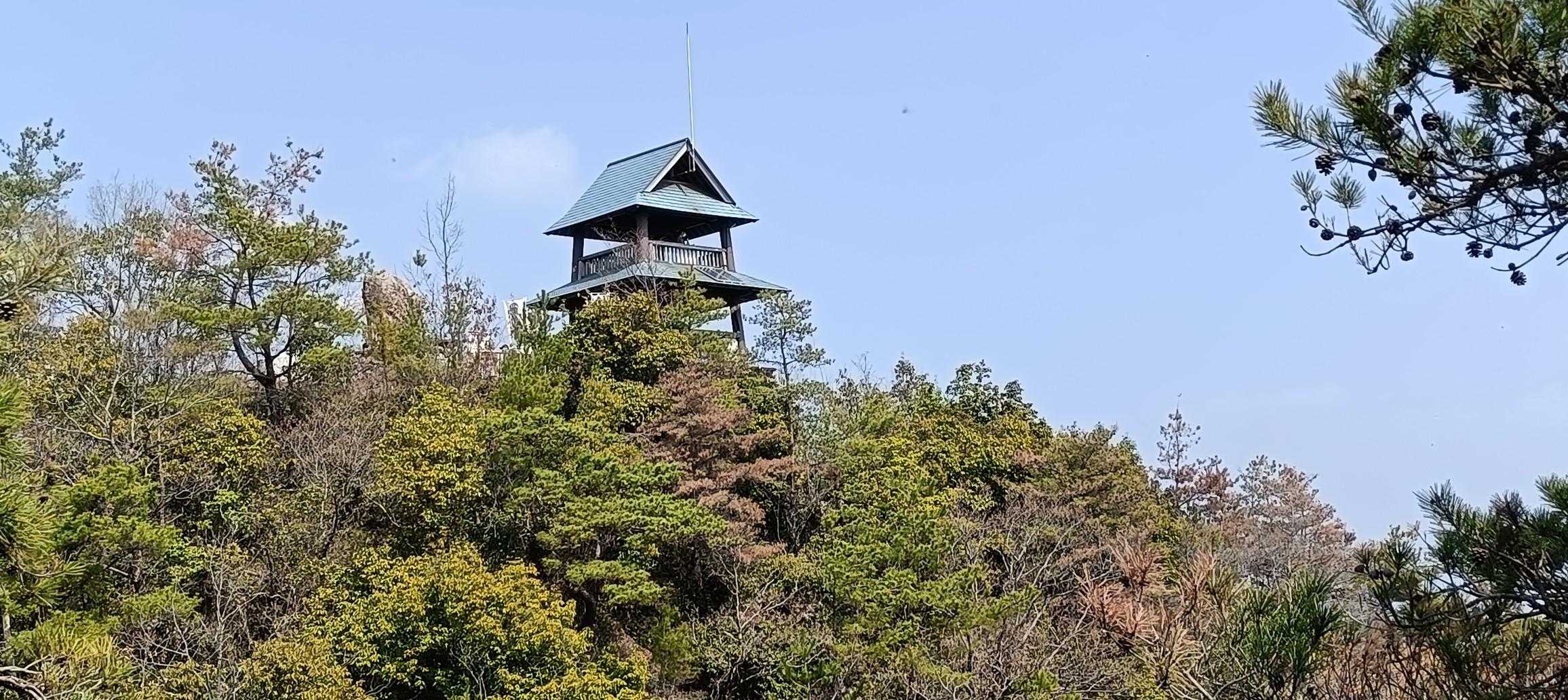 勝山城跡（猿啄城とも言うようです😊）あおもう少し！