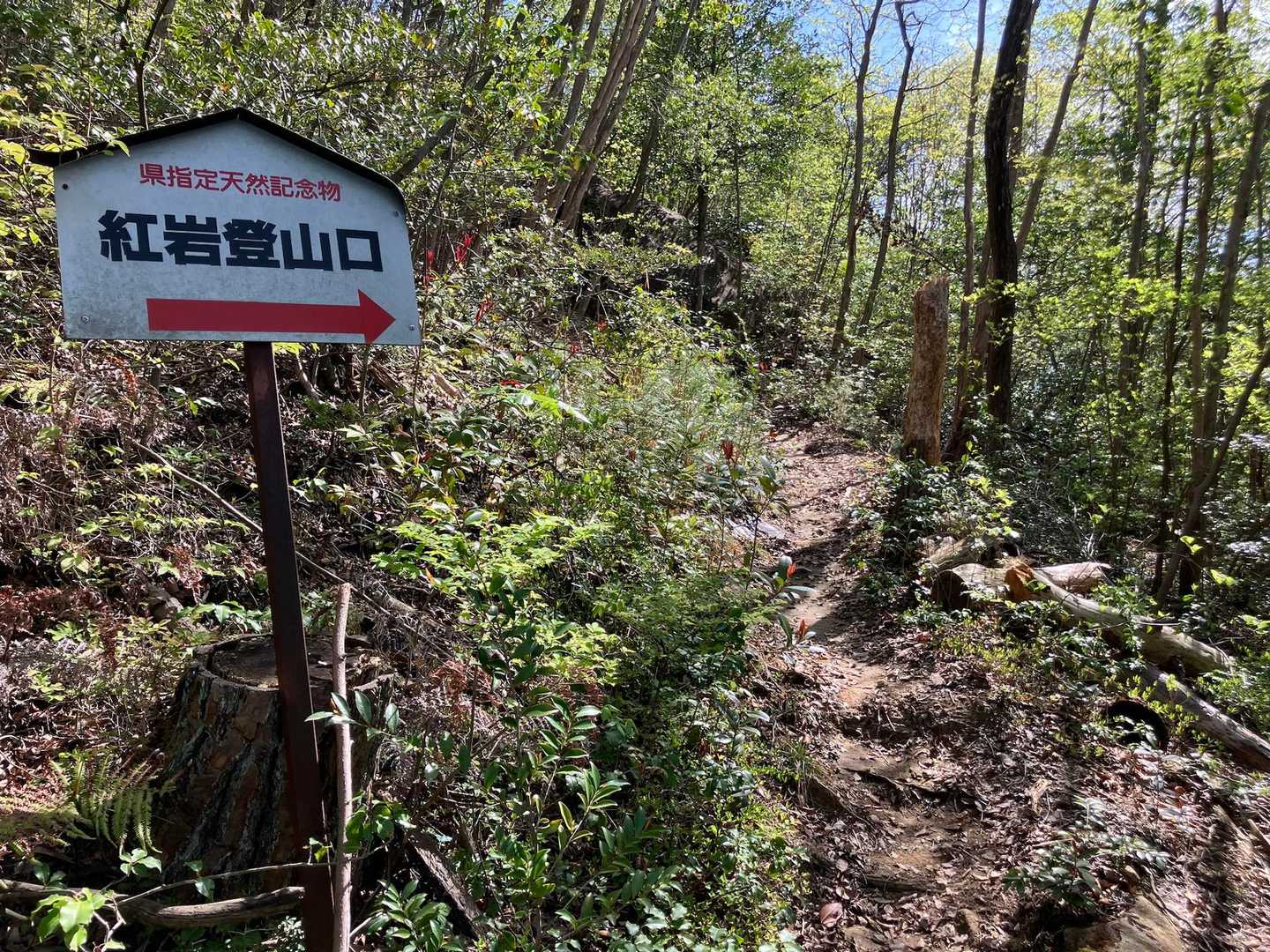 少し進むと「紅岩登山口」がありました。
「若山登山口」ではないのですね…😅
