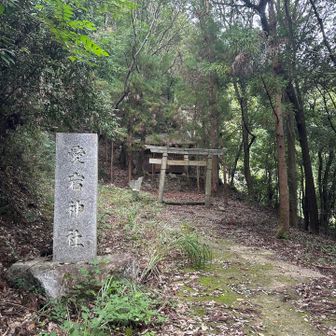 お世話になります🙇‍♀️