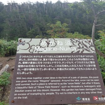 めがね沼