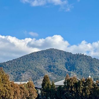 三輪山⛰️登拝できて良かったです✨