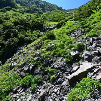 赤石岳分岐から赤石小屋方面はザレた急斜面で結構危ない