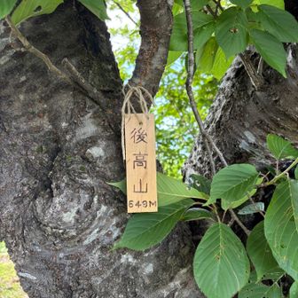 白山比咩神社の裏にひっそり山頂標識