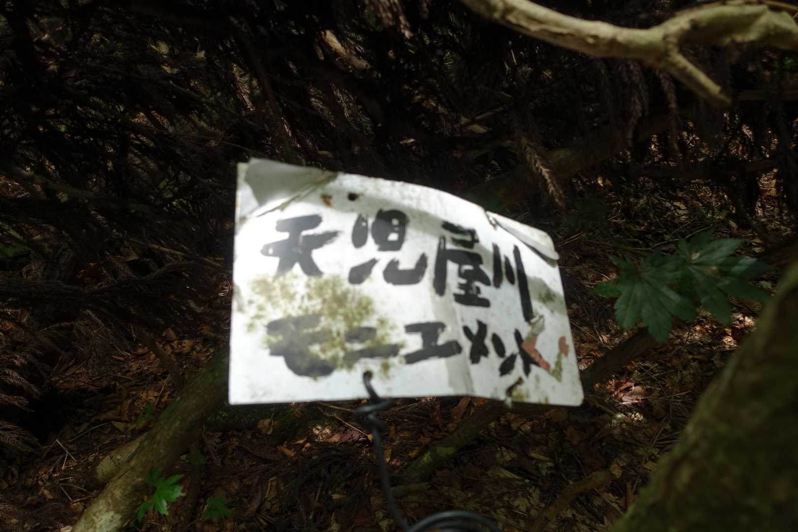 峰越峠-江浪峠-三国平 往復コースの写真