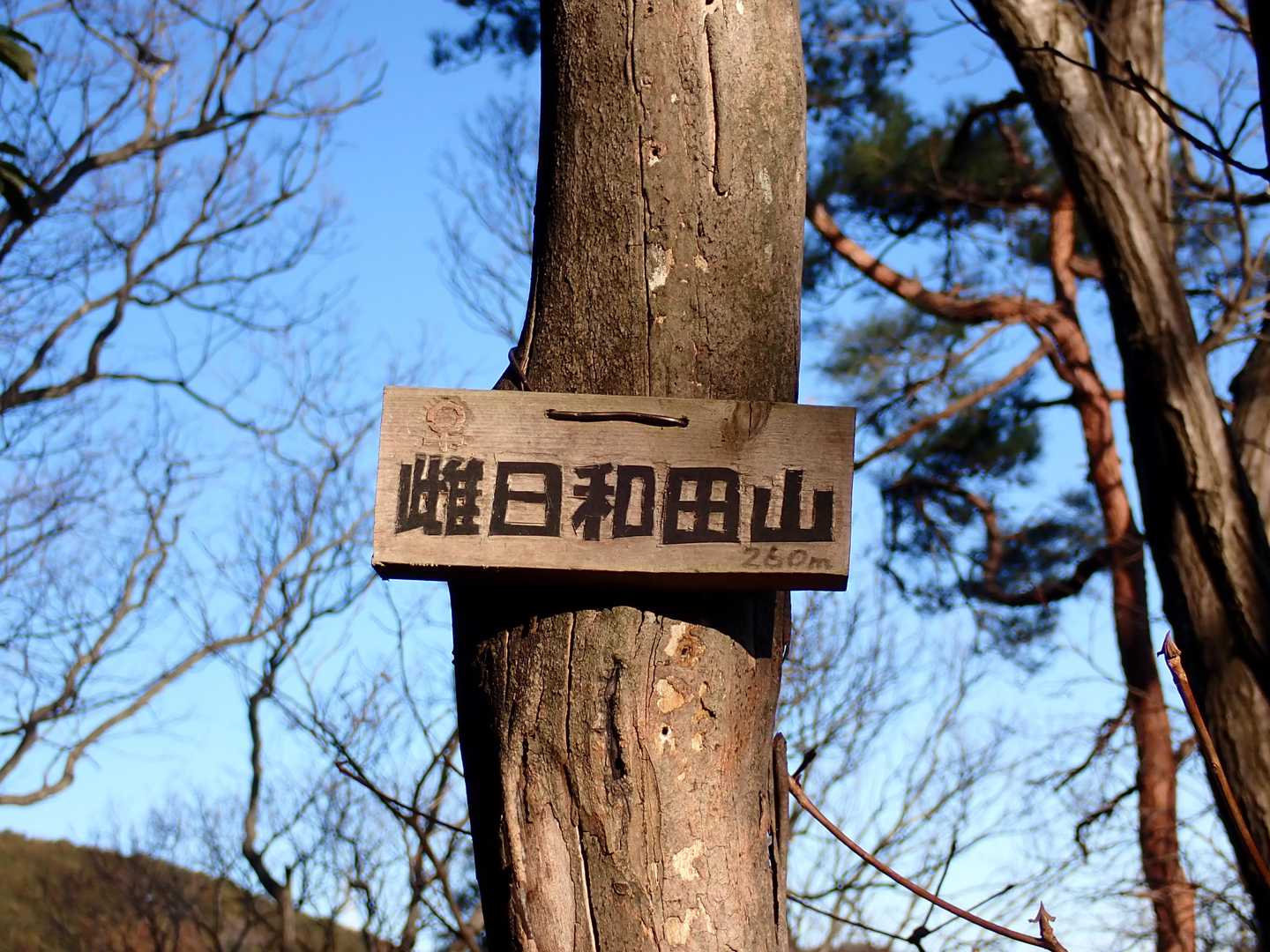 雌日和田山
眺望は今ひとつだけど明るいです