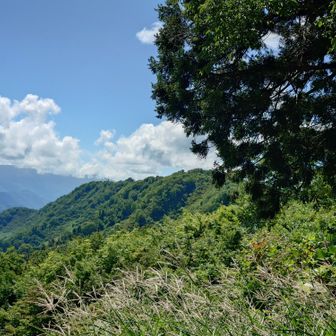 愛宕山から笹野山
時間見つけてまた来ます👋