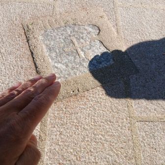 埋め込み二等さん▲