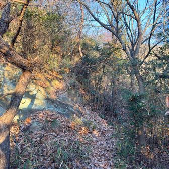 突き当たりの岩を登ります。
ここが魚橋登山口でしょう。