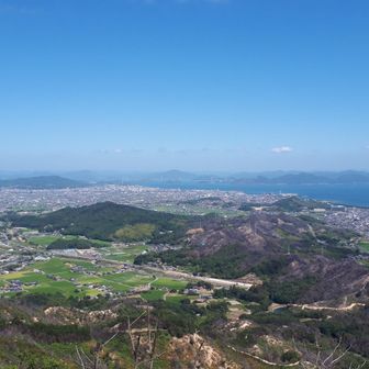向こうの尾根まで焼け跡が伸びています。