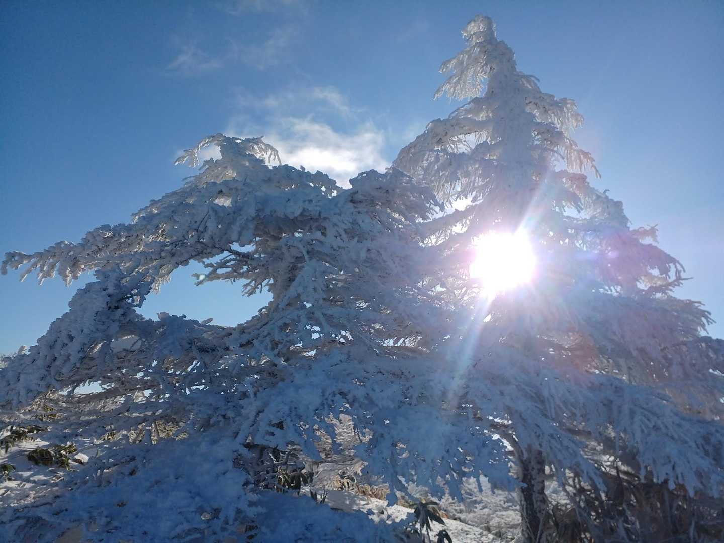 南沢山-横川山 往復コースの写真